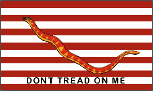 First Navy Jack